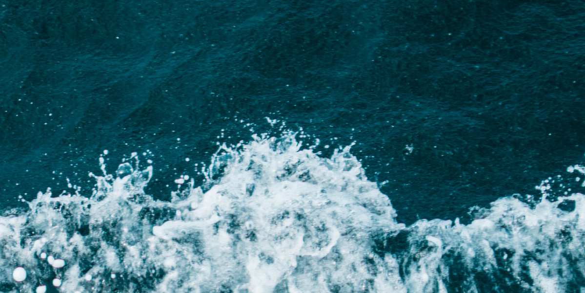 Protect What You Love: Q&A with Save The Waves Coalition
