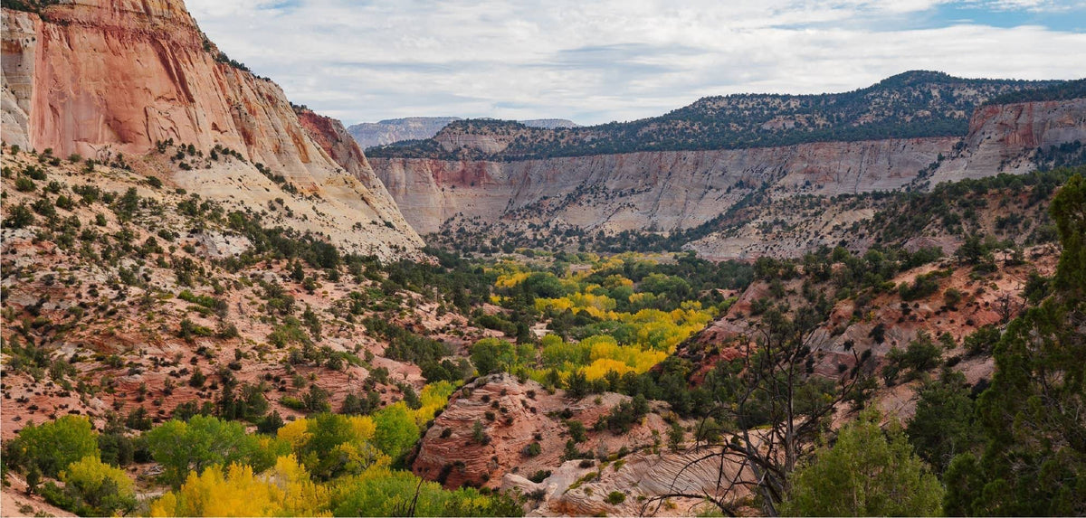 Explore a National Park Today (FOR FREE!)