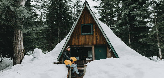 HOME FOR THE HOLIDAYS