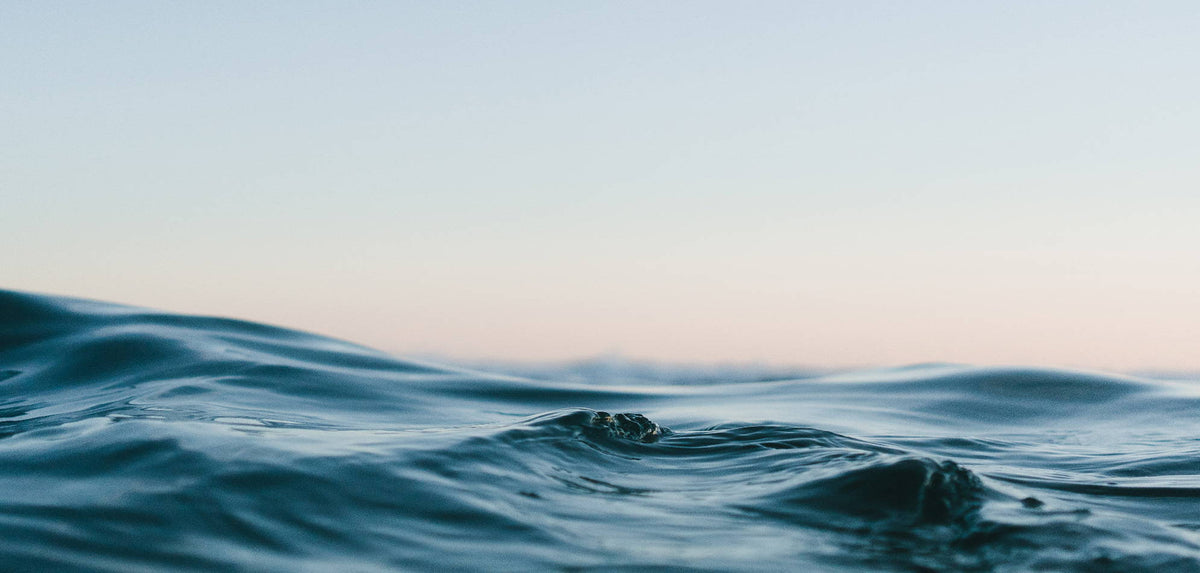 Why and How Rumpl is Going Climate Neutral