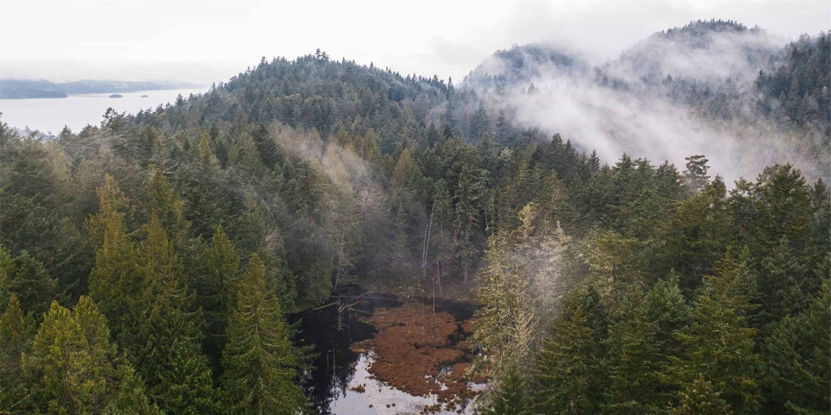 Raincoast Conservation Foundation Q&A