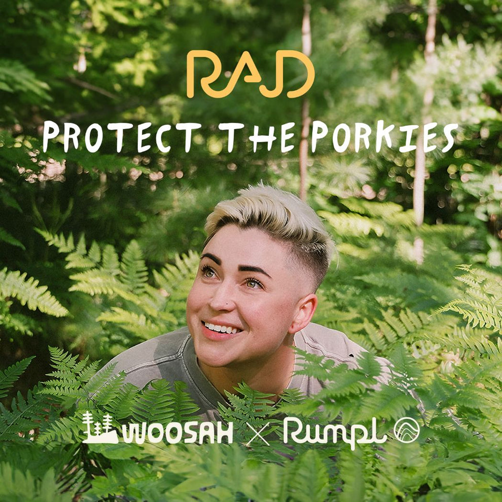 The Camp Pillow - Rae Lang - Protect The Porkies