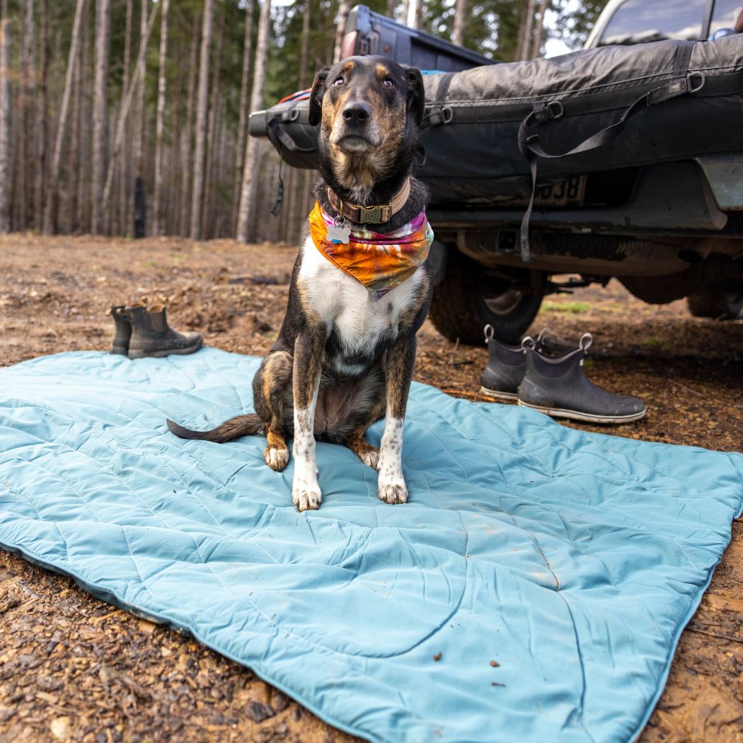 Overland Mat - Sage Green